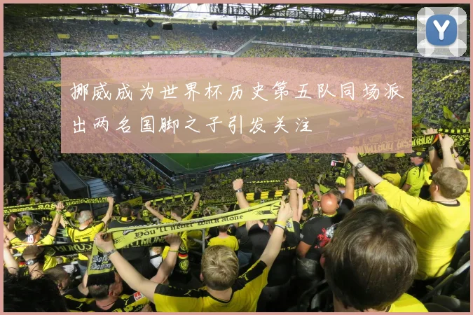 挪威成为世界杯历史第五队同场派出两名国脚之子引发关注