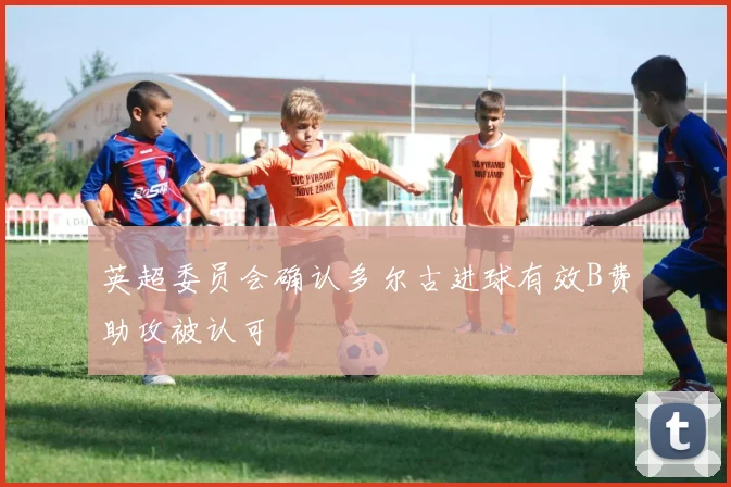 英超委员会确认多尔古进球有效B费助攻被认可