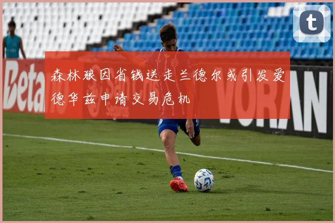 森林狼因省钱送走兰德尔或引发爱德华兹申请交易危机